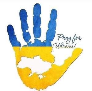 Meet your Posher, Shelley